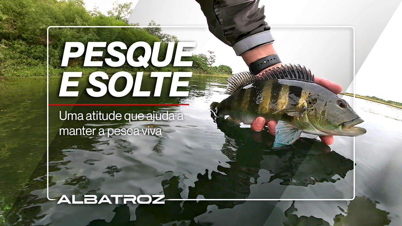 Pesque e Solte – Uma atitude que ajuda a manter a pesca viva